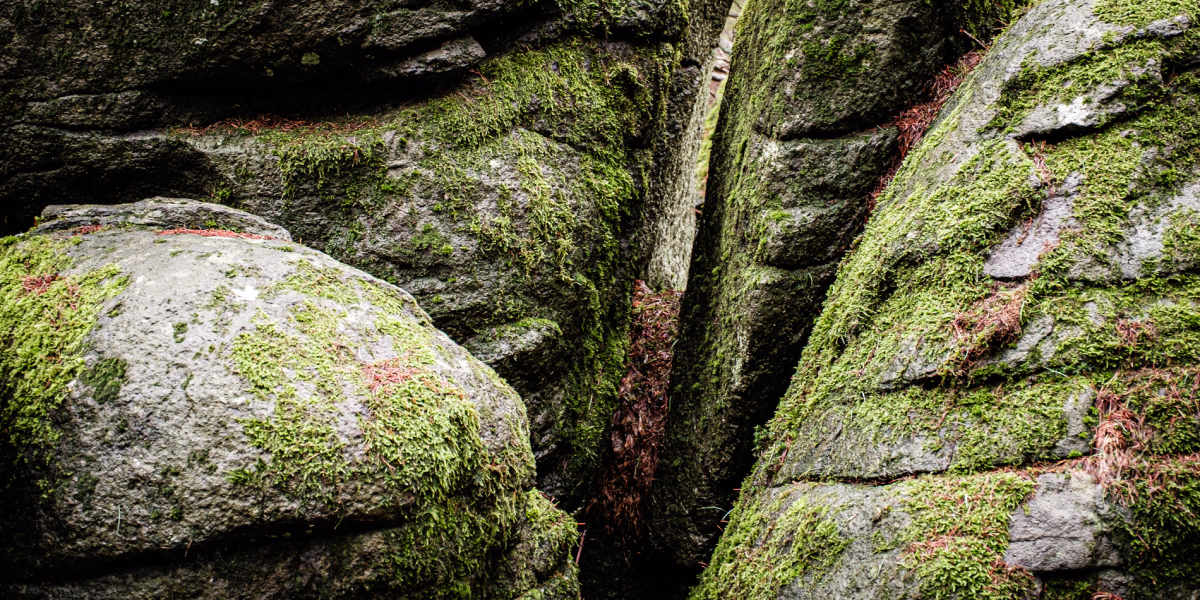 Basaltblock in der Rhön