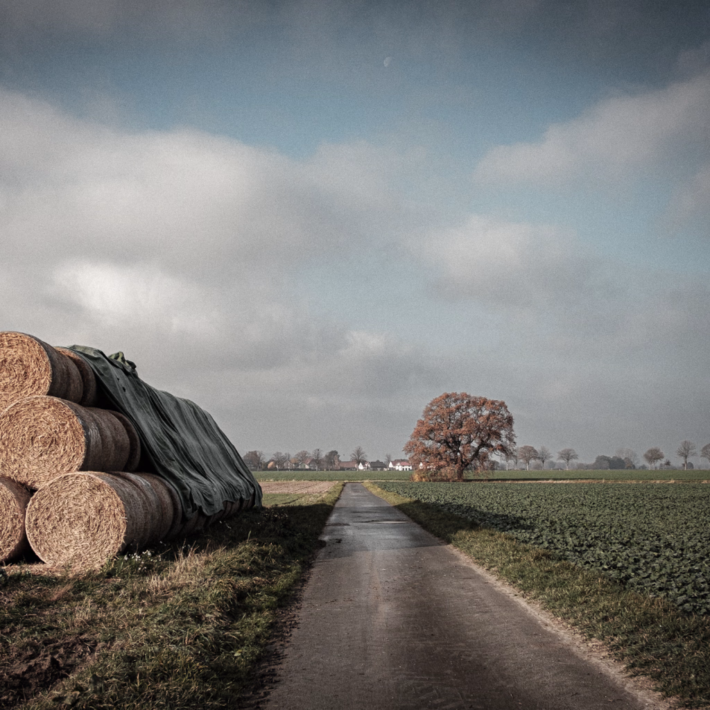 zwischen Langreder und Leveste