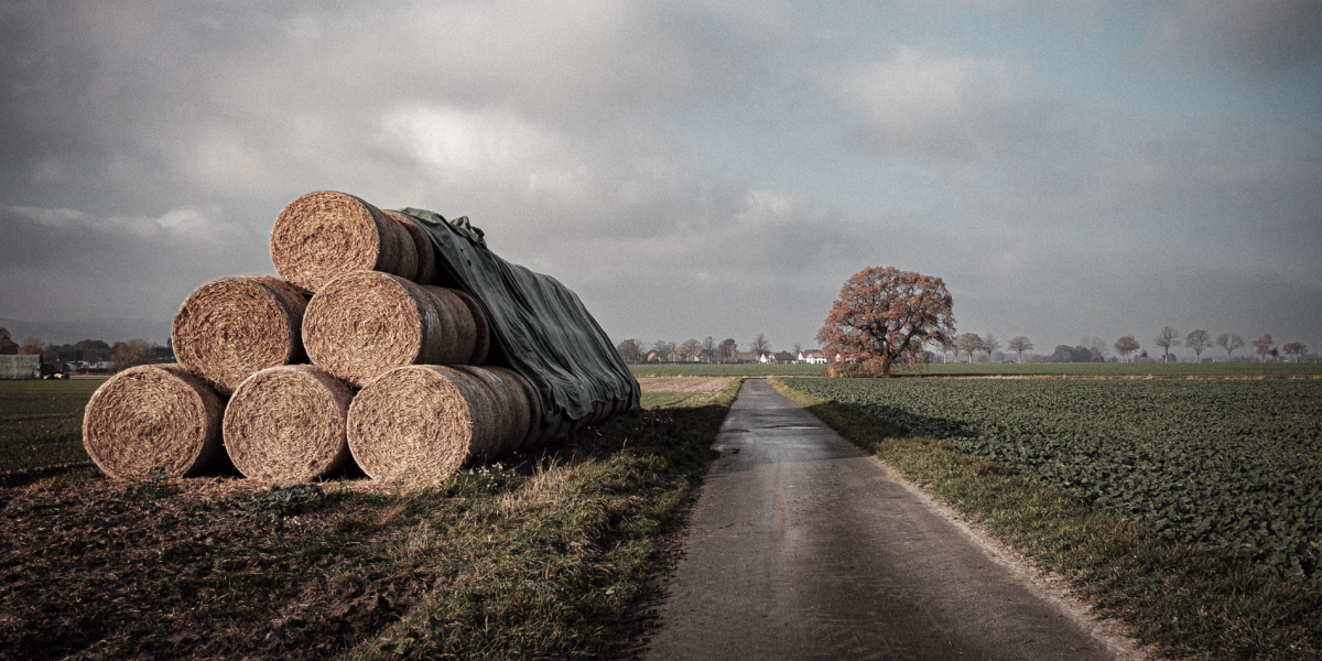 zwischen Langreder und Leveste