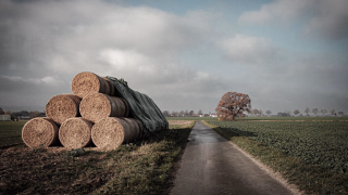 zwischen Langreder und Leveste