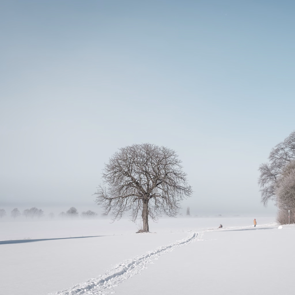 Kastanie von Everloh im Schnee