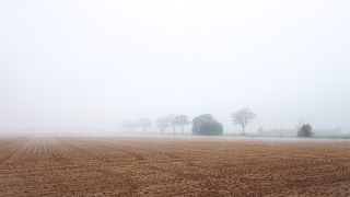 Felder bei Everloh im Nebel