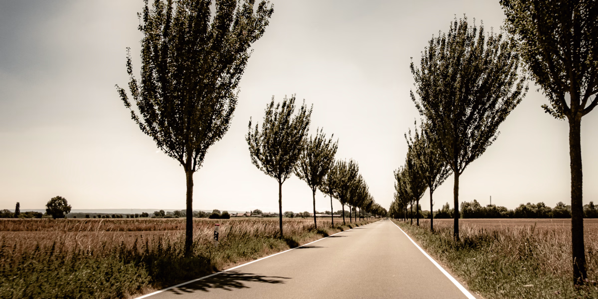 Allee in der Hävener Marsch, Mittelweser
