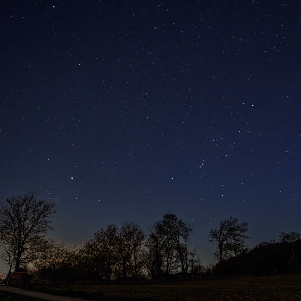 Nachthimmel über dem Benther Berg. Sirius und Orion stehen im Süden. Bäume im Vordergrund und die Lichter von Gehrden am Horizont.