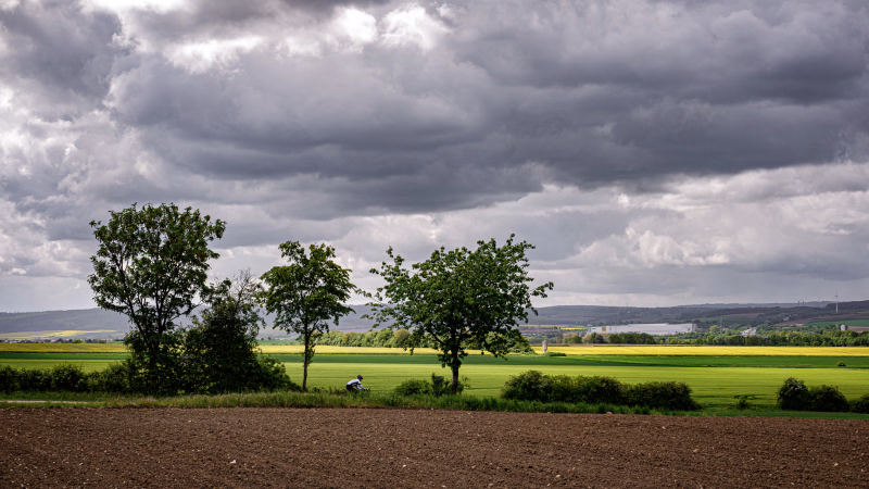 Felder, braun, grün und gelb, ein Feldweg mit drei Bäumen quer durchs Bild. Zwischen den Bäumen klein eine sportliche Radfahrerin auf einem Gravelbike. Im Hintergrund der Höhenzug Süntel. Am Himmel schwere graue Wolken. Aber durch Wolkenlücken trifft viel Sonnenlicht auf die Landschaft.