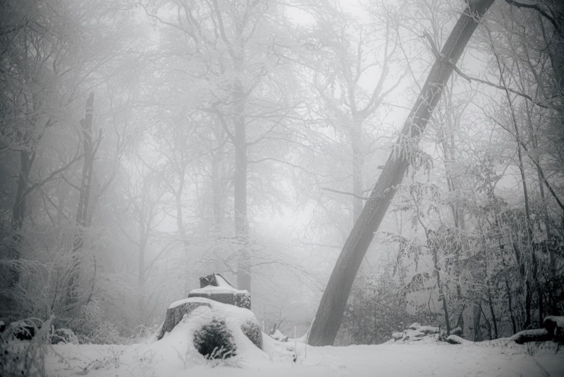 Nebliger, verschneiter Winterwald. Vorne die Reste, Fundament, vom abgesägten Sendemast. Im Hintergrund undeutlich der Wald.