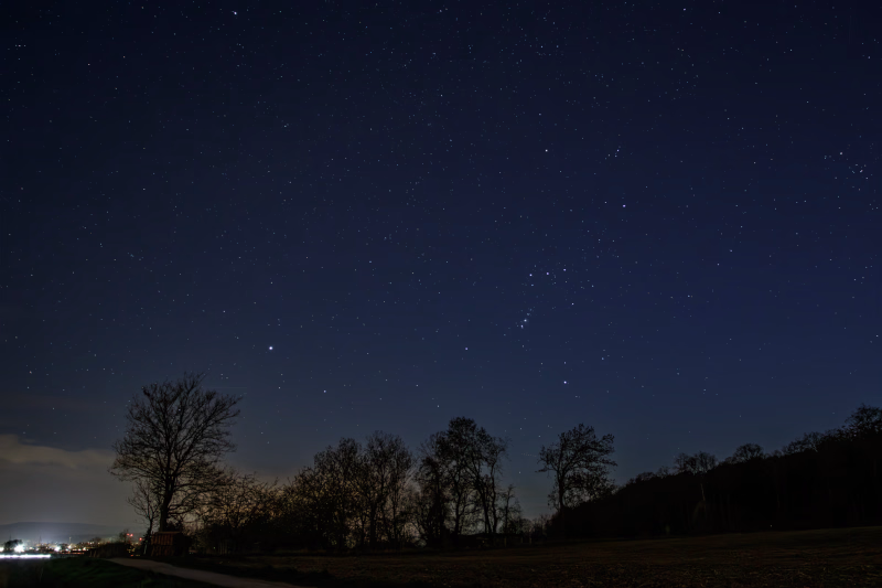 Nachthimmel über dem Benther Berg. Bäume im Vordergrund, Sirius und Orion am südlichen Nachthimmel.