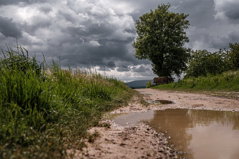 Feldweg mit Pfütze aus der Froschperspektive im Sonnenlicht. Weit hinten der Bergahorn. Am Hapkenberge/Benther Berg im Mai 26.