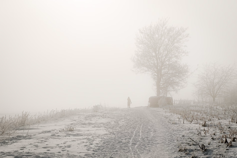Am Hapkenberge im Nebel, Januar 2026
