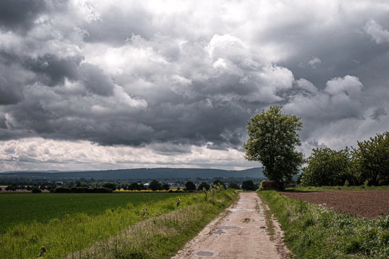Feldweg am Hapkenberge, Benther Berg mit Pfützen und frischem Gras an den Rändern. Ein Bergahorn im Hintergrund und weit hinten der Deister. Der Himmel mit voller dunkler Regenwolken.